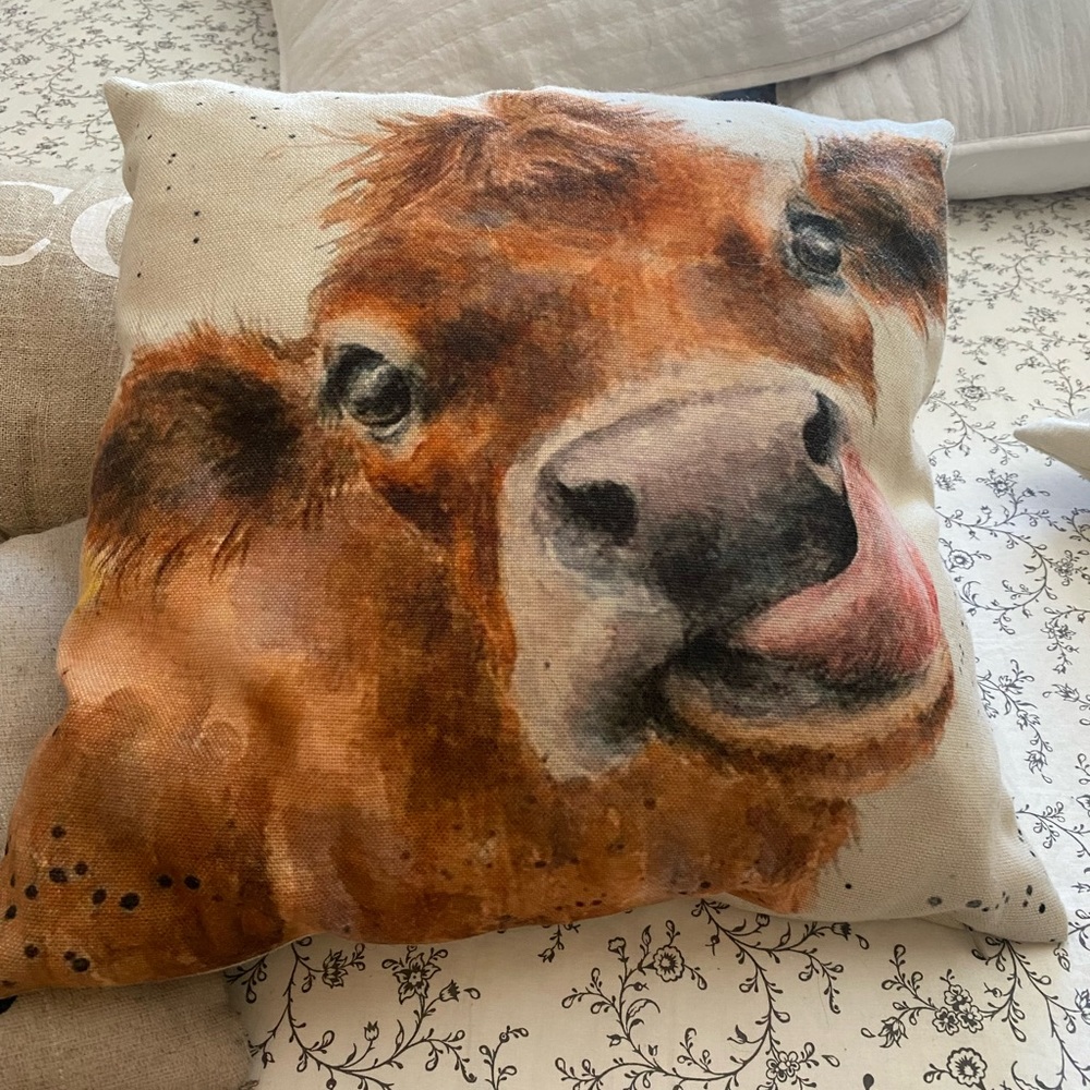 Decorative Pillows!
